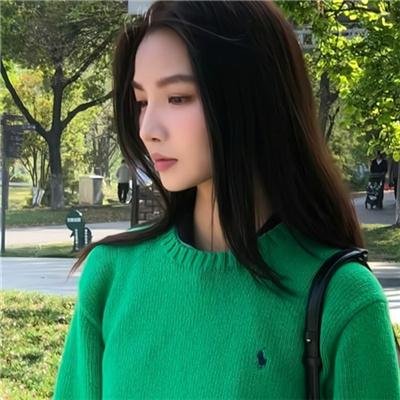 半岛记者 海报